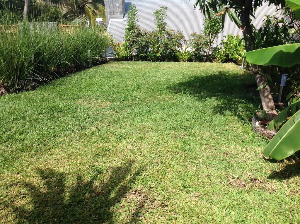 La Villa Paille En Queue Saint-Gilles-les Bains Ngoại thất bức ảnh