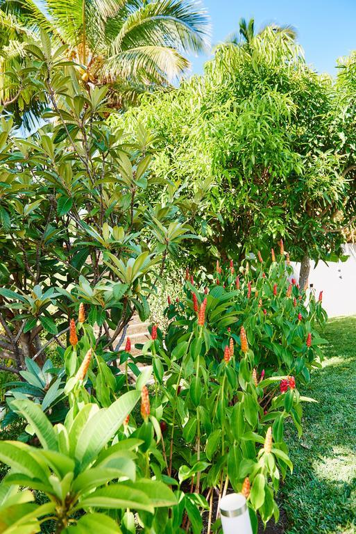 La Villa Paille En Queue Saint-Gilles-les Bains Ngoại thất bức ảnh