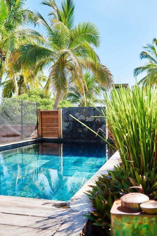 La Villa Paille En Queue Saint-Gilles-les Bains Ngoại thất bức ảnh